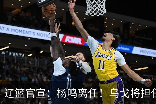 辽篮官宣：杨鸣离任！乌戈将担任辽宁男篮主帅
